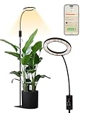 GLOWRIUM Smart Grow Lights for Indoor Plants, 24W Full Spectrum Plant Lights with Bluetooth App, Adjustable Height 47-70.9", Auto Timer, Indoor Plant Lamp for Large Tall Plants（Black 24W）