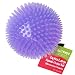 Gnawsome 4.5" Spiky Squeak & Light Ball Dog Toy - Extra Large, Cleans teeth and Promotes Dental and Gum Health for Your Pet, Colors will vary