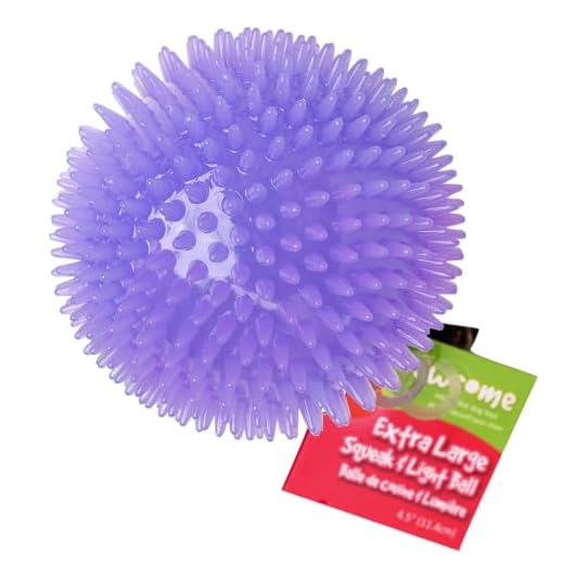 Gnawsome 4.5” Spiky Squeak & Light Ball Dog Toy - Extra Large, Cleans teeth and Promotes Dental and Gum Health for Your Pet, Colors will vary, All Breed Sizes