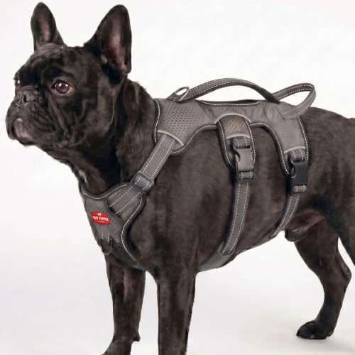 Image of Tuff Pupper Updated for 2022 - Tracker No Escape Dog Harness | Dual Escape Proof Leash Attachments | 5 Point Adjustable Fit Harness for Dogs | Padded Dog Harness for Comfort | Handle Dog Lift Harness