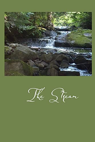 Preisvergleich Produktbild The Stream