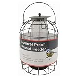 Eichhörnchen-proof Bird Feeder - Best Reviews Guide