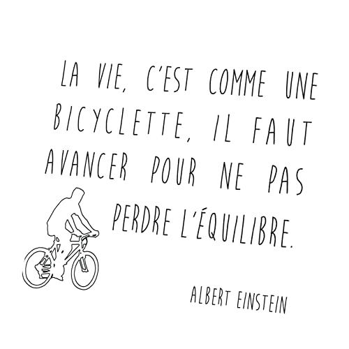 Toile bicyclette Einstein tableau déco inspirant pour bureau et salon