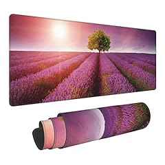 Stunning Lavender Field Landscape