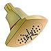Gerber Plumbing Vaughn Shower Head