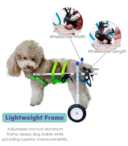 Chariot de rééducation réglable pour petits chiens et chats - 3