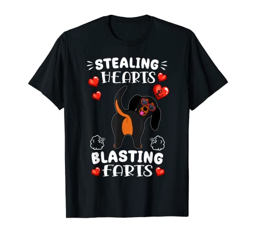 Stealing Hearts Blasting Farts Dachshund Dog Valentines T-Shirt