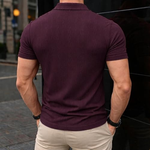 Image of Lymio Polo T Shirt for Men || T Shirt for Man || Collar Style (Packs Also Available) (Polo-113-116)