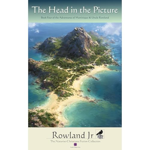 The Head in the Picture Audiobook By Rowland Jr cover art