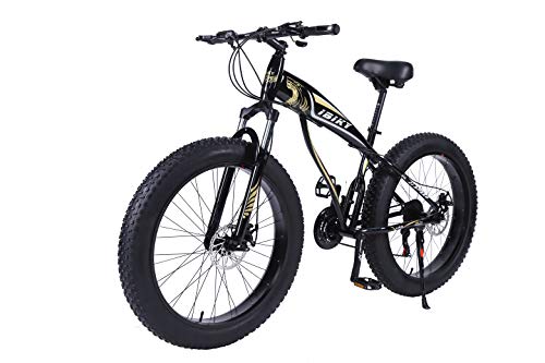 ibiky fat tire