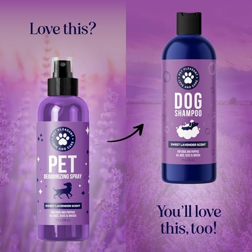 Lavender Oil Dog Deodorizing Spray - Dog Spray for Smelly Dogs and Puppies and Dog Calming Spray with Lavender Essential Oil - Lightly Scented Dog Deodorizer for Smelly Dogs and Dog Essentials