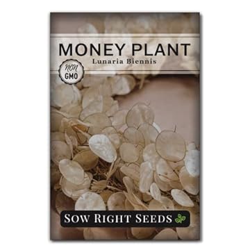 Can't Plant Indoor Seeds? Explore These 5 Surprising Alternatives 3 can