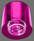 Flores Frescas Online Maceta Orquideas Luxus Fucsia Portes Gratis