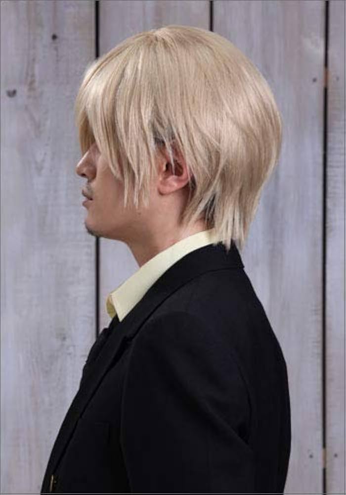 Dページ:ウィッグオーダー【サンジ】 ウィッグオーダー 受付ページ 【納期:8月中旬〜】