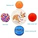 Volacopets Puppy Balls - Pack with Different Functions & Teething Toys for Small Dogs, Squeaky Dog Balls, Rubber Chew Toys for Enrichment