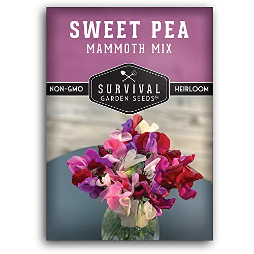 Mammoth Mix Sweet Pea Seeds for Planting &ndash; Heirloom Sweet Pea Variety with Giant Fragrant Flowers...