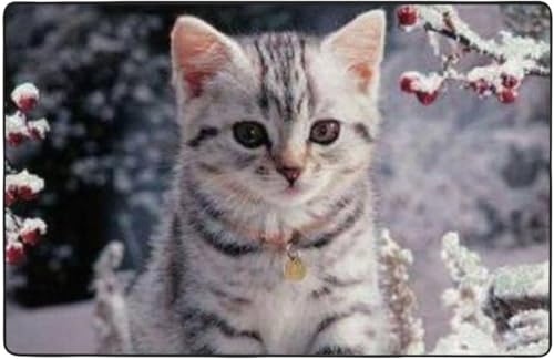  킢L O O}bg J[ybg 100 * 150 Cm J[ybgΉ ~ ` ~ߕt EHbVu I[V[YKp