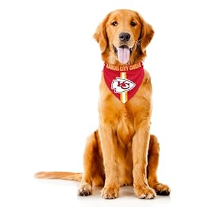 Littlearth NFL Reversible Pet Bandana – Officially Licensed Teams, Sizes XS to XL