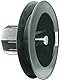 Schellenberg 81000 Gurtscheibe Mini mit integrierter Walzenhülse für 40 mm Achtkantwelle, Durchmesser der Scheibe 10 cm