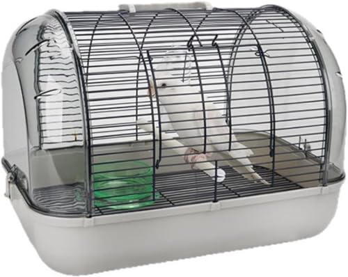 CokBluybgp^уP[W ʋC ~܂ؕt CRIE tgݗĎ Usʉ@ hЈړ o[hLA  Op? (`[oł,O[)