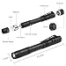 Flintronic LED Taschenlampe Mini, 2 Stück, 200 Lumens Pen Light, Wasserdicht Stift Licht für Camping/Wandern/Haushalt, 2*AAA-Batterien (Nicht Enthalten)