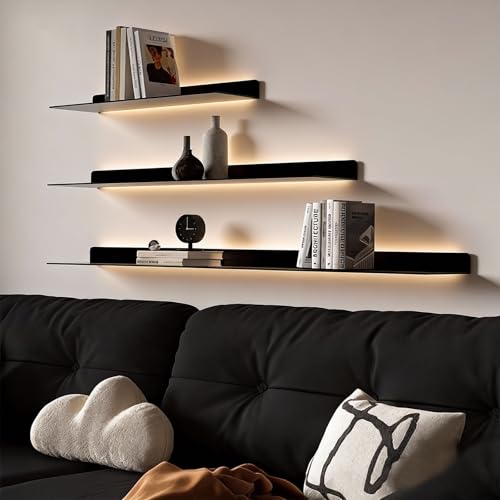 BVCL Estante Flotante Iluminado,Estantes De Pared De Metal con Luz LED,Repisas,Flotantes para Pared de para Salón,Cocina,Dormitori,baño(80cm)