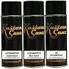 Candy Burnt Orange - 13.5oz Aerosol can KIT 3 Stage Color - Paint Code 17L - Compatible with Kawasaki