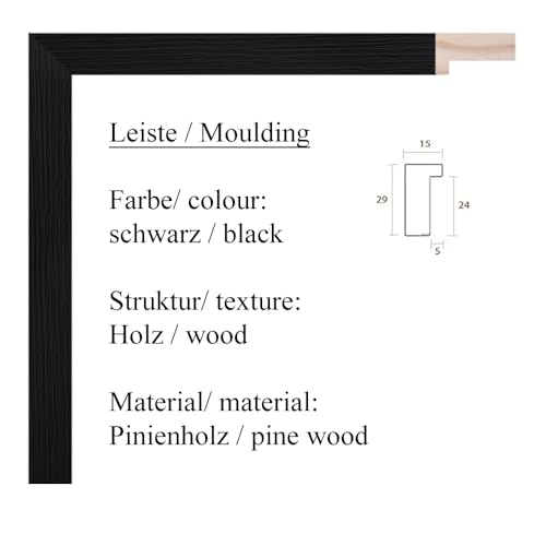 artissimo, hochwertiger Kunstdruck gerahmt, 53x63cm, AG4113, Pablo Picasso: Der Pinguin/Le Pingouin, Poster mit Rahmen, gerahmtes Bild, Siebdruck, Wandbild, Wanddekoration