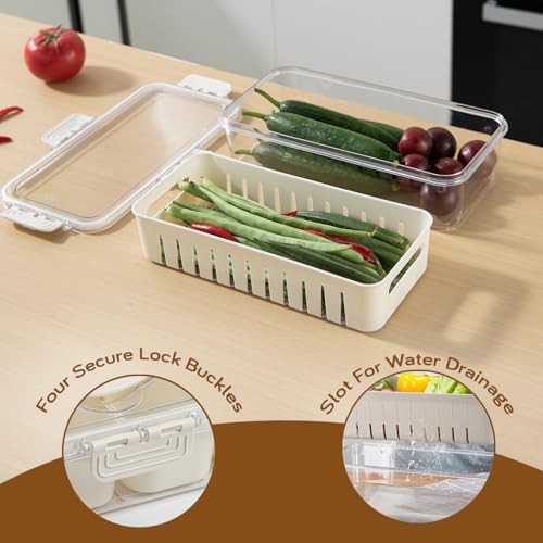 Image of HOKIPO BPA Free Food Grade Plastic Fridge Storage Containers with Lid - Crisper Containers for Fresh Vegetables, Fruits & Food | Freezer & Kitchen Organizer Set for Home Use (AR-6100)