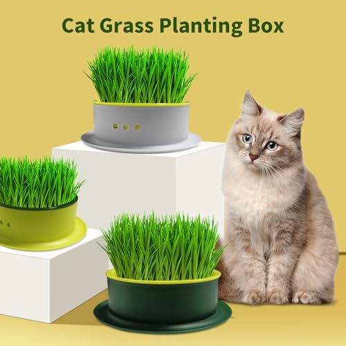 iNextStation-Cat-Grass-Planter-3Pcs-Hydroponic-Cat-Grass-Box-Plastic-Catnip-Cat-Grass-Growing-Kit-Soilless-Culture-Planting-Container-for-Outdoor-Cat-Dogs-and-Other-Pets