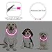 Coolzon LED Leuchthalsband Hundehalsband Aufladbar, Wasserdicht Halsband Hund 3 Modi, Leuchtband Hund Halsband Längenverstellbareres Super Helle Kalsband Katze und Hunde Klein Groß Mittel, Rosa