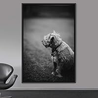 Framed Canvas Wall Art Duotone Pupper Animals Black and White Contemporary Dogs Duotone Expressive Grey Living Room Photography - 16x24 inches