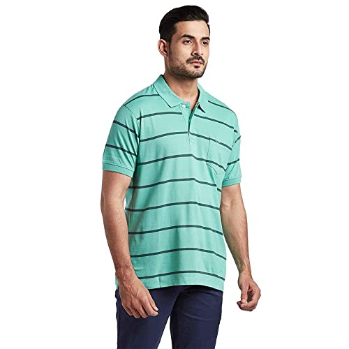 Image of Colorplus Men's Pure Cotton Stripe Pattern Classic Fit Polo Neck Half Sleeve Casual T-Shirt