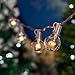 G40 Patio String Lights with 25 Clear Globe Bulbs - Hanging Garden String Lights - Vintage Backyard Patio Lights - Outdoor String Lights - Market Cafe String Lights - Brown Wire - 25 Foot