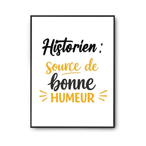 Affiche Historien Otshirt poster humour imprimé en France
