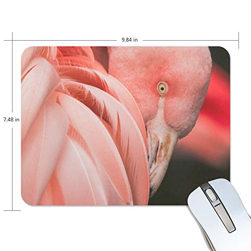 Preisvergleich Produktbild Mauspad MalpLENA Vogel Flamingo Pink Feder Premium Texturiertes Mauspad, rutschfeste Gummiunterseite, für Laptop, Computer und PC