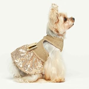 Fitwarm-Fancy-Dog-Dress-Sparkly-Sequin-Dog-Clothes-for-Small-Dogs-Girl-Formal-Pet-Wedding-Attire-Cat-Birthday-Outfit-Gold-XS - Cucciolini Doodles   Fitwarm-Fancy-Dog-Dress-Sparkly-Sequin-Dog-Clothes-for-Small-Dogs-Girl-Formal-Pet-Wedding-Attire-Cat-Birthday-Outfit-Gold-XS