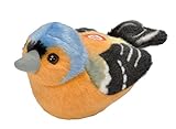 Juguete didáctico Wild Republic - Aves, Pinzón con Sonidos Reales Peluche, 13 - 16 cm (19484)