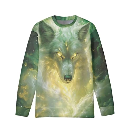 Boys Crewneck Sweatshirts 3D Printed Cool Lightweight T-shirts 6-16T Pullover Tops for Kids - Main Image