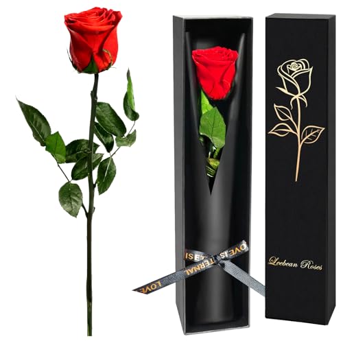 Single Forever Roses Luxury Gift for Women/Men, Birthday Gifts for Women,Flowers Gifts for Girlfriend,Wife,Mom,Anniversary,Valentine's Day,Wedding,Graduation,Presents for Her,Red