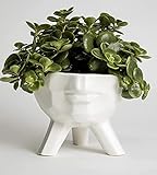 Face Planter Head Planters for Indoor Plants Face Vase Unique pots for Plants Plant pots with...