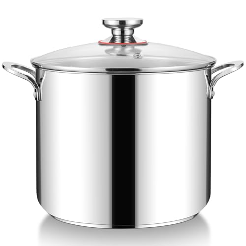 HaWare Stock Pot, 12L Large Stainless Steel Stockpot with Clear Lid, 26cm Tri-Ply Bottom Cooking Pot for Pasta/Meat/Soup, Suit for Induction/Electric/Gas/Ceramic, Healthy & Easy Clean