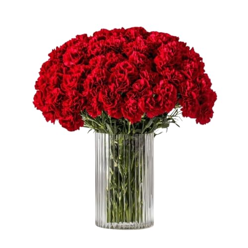 DECOALIVE - Ramo de Clavel - Set 50 Flores Rojas - Bouquet de Flores Naturales