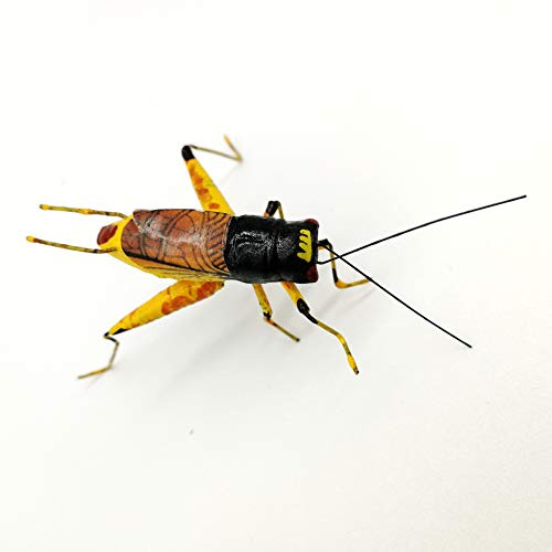 5Pcs Cricket Garden Decor Yard Art Bugs Insect Magnets For Home Outdoor Decoration Landscape Education Model Toys Mixed Color #TOP4