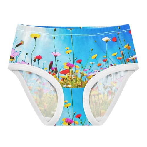 Cotton Toddler Underwear Floral Colorful Wildflowers Little Girl Panties Florals Kids Undies Briefs 2t