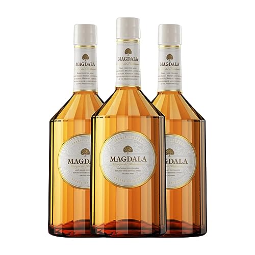 Triple Seco Torres Magdala Orange 70 cl (Caja de 3 Botellas de 70 cl)