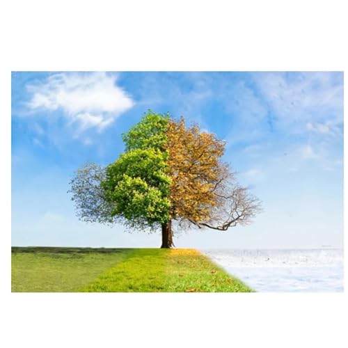 Mur art impression sur toile arbre coloré affiche murale paysage 4 saisons