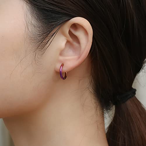 Image of 316L Surgical Stainless Steel Small Hoop Earrings 8mm 10mm 12mm 14mm Hypoallergenic Huggie Hoop Earrings Helix Lobes Hinged Sleeper Earrings Men Women for Cartilage Piercings