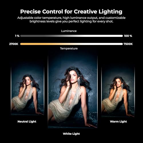 Image of Digitek LED Video Light Studio, for YouTube Video, Product Photography, Makeup Shoot and More (LED-D40W RGB)