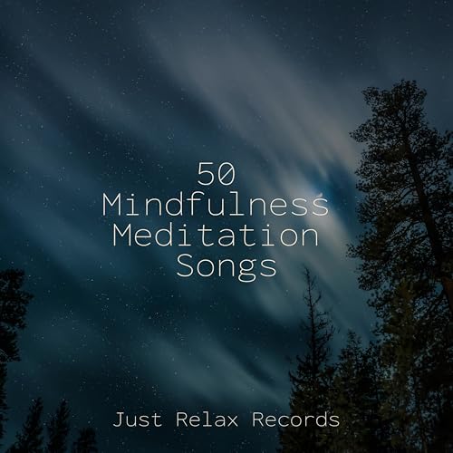 50 Mindfulness Meditation Songs von Meditation Relaxation Club bei